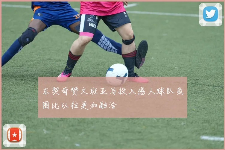东契奇赞文班亚马投入感人球队氛围比以往更加融洽